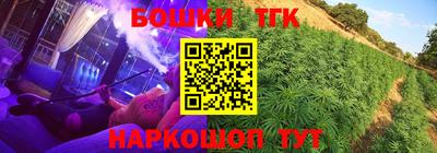 прущие грибы Беслан