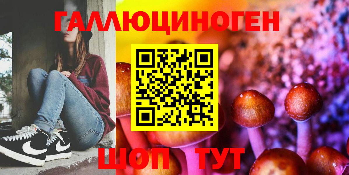 Псилоцибиновые грибы мицелий Верхняя Салда
