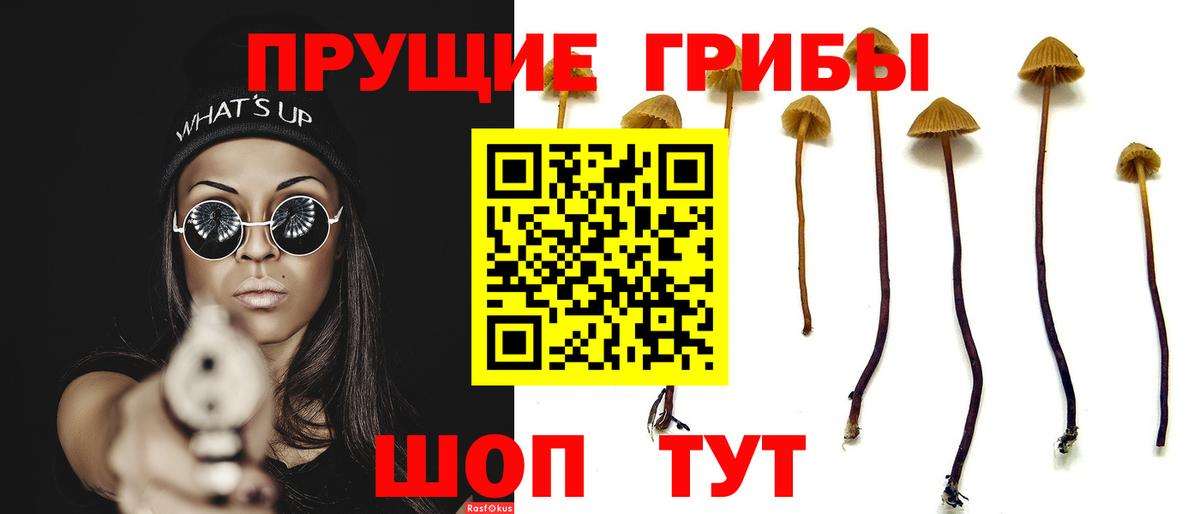 Верхняя Салда  Псилоцибиновые грибы ЛСД  Вход с VPN 